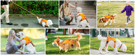 The Ultimate Guide to the Oshcart™ 6-In-1 Dog Harness: Features, Benefits, and User Tips