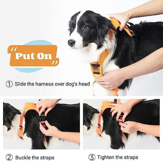 Safe and Enjoyable Dog Walking: Tips and the Role of the Oshcart™ 6-In-1 Dog Harness