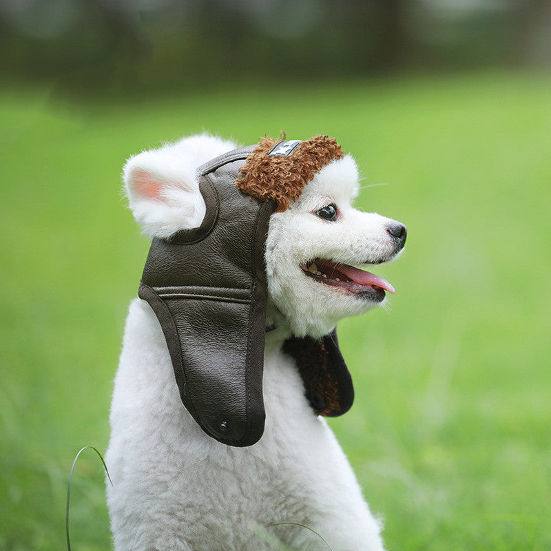 OshCart™ Aviator Pet Hat