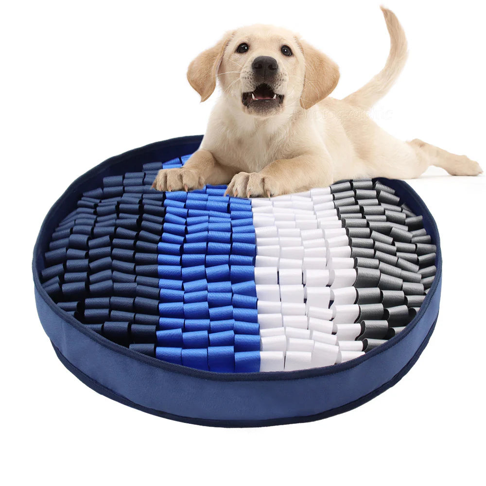 Oshcart™ Interactive Pet Sniffer Mat