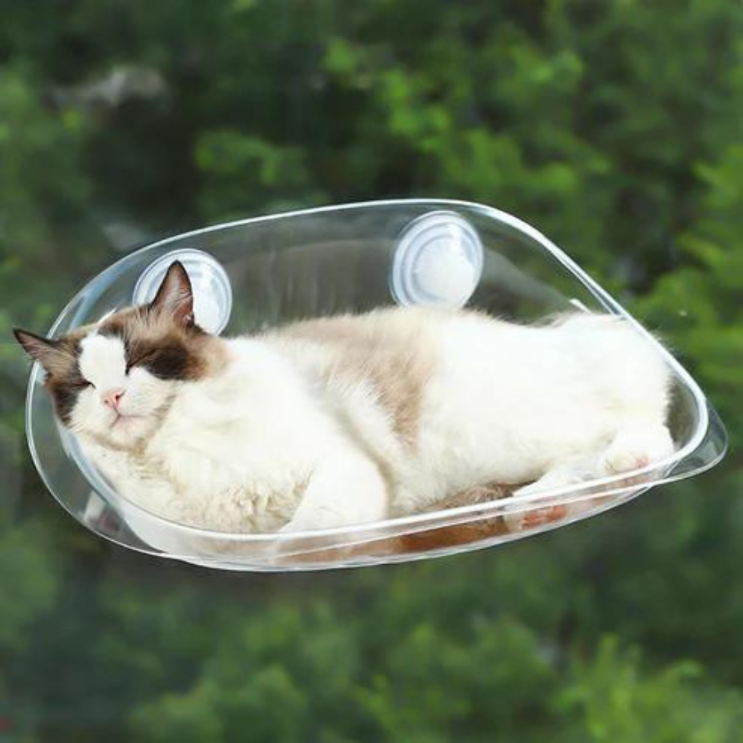 Oshcart™ Transparent Cat Basket - Perfect Perch for Cats