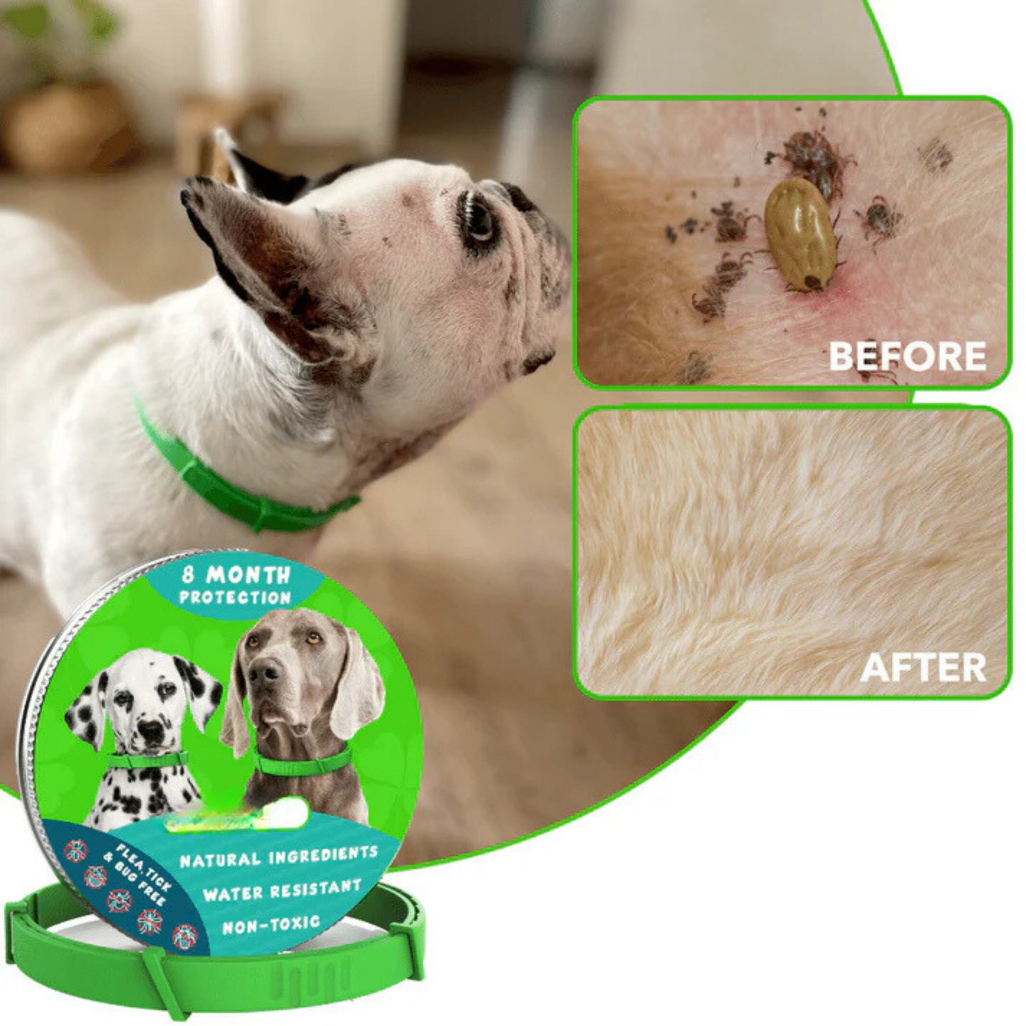 OshCart™ Flea & Tick Defense Collar