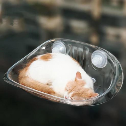 Oshcart™ Transparent Cat Basket - Perfect Perch for Cats