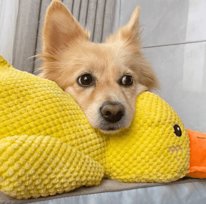 OshCart™ Calming Plush Duck