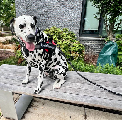 OshCart™ Personalized Dog Harness