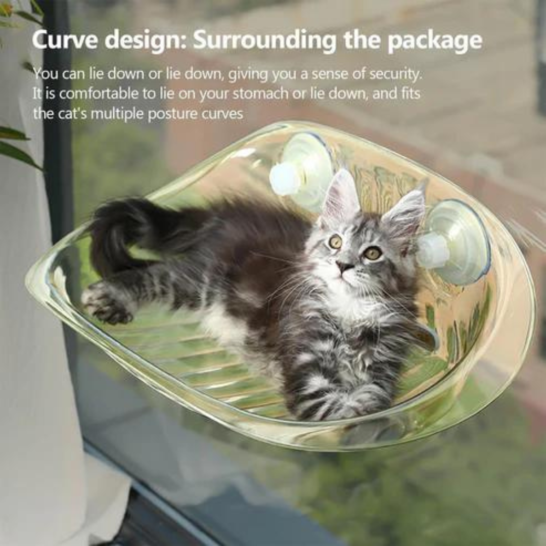 Oshcart™ Transparent Cat Basket - Perfect Perch for Cats