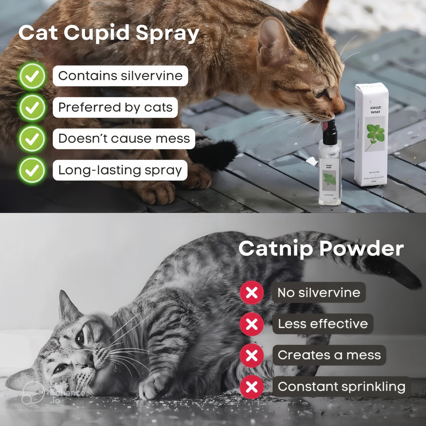 Boost Energy & Calm Your Cat