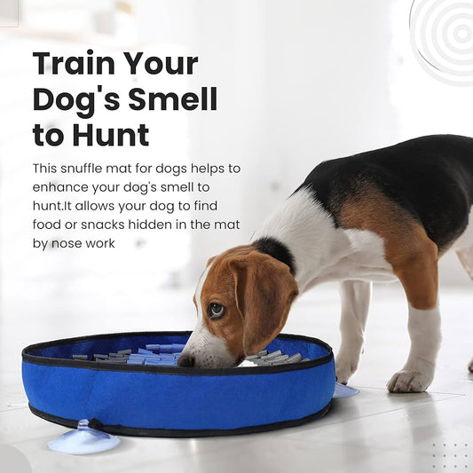 Oshcart™ Interactive Pet Sniffer Mat