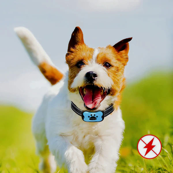 Oshcart™ - Ultrasonic Anti-Bark Dog Collar